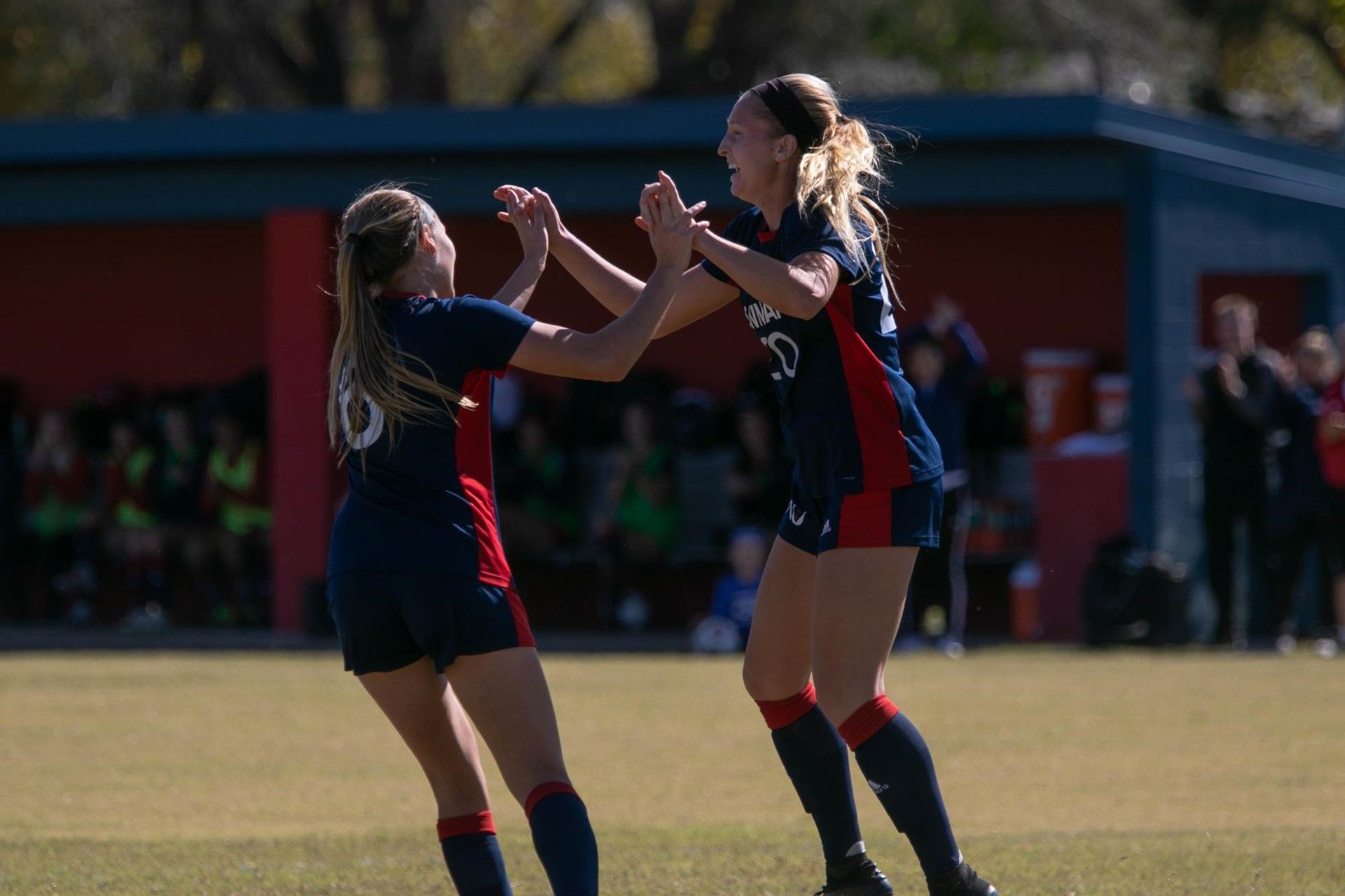 Grace Linton: Offensive player of the year