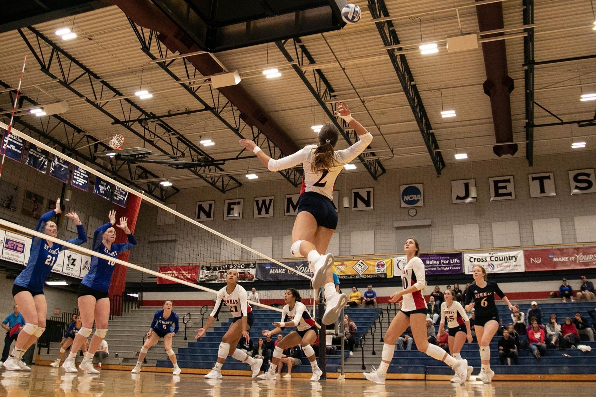 Volleyball gets set for its last match