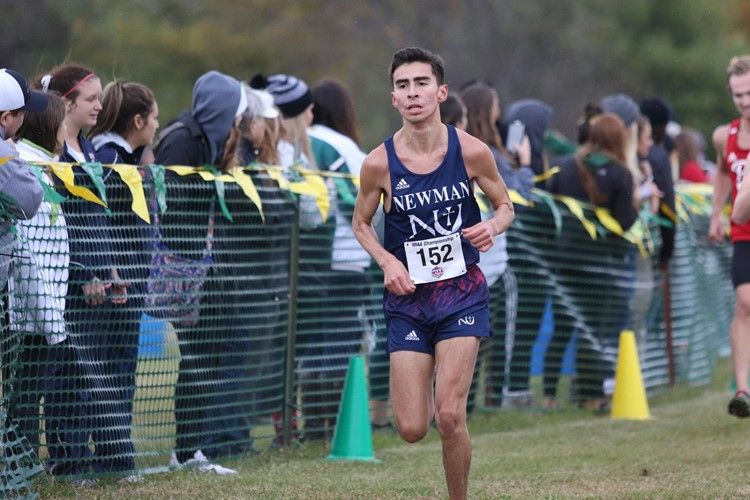 Cross country nears the finish line of its season