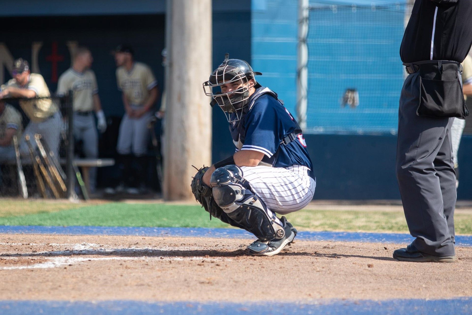 Baseball/softball starts attendance charge for non-students