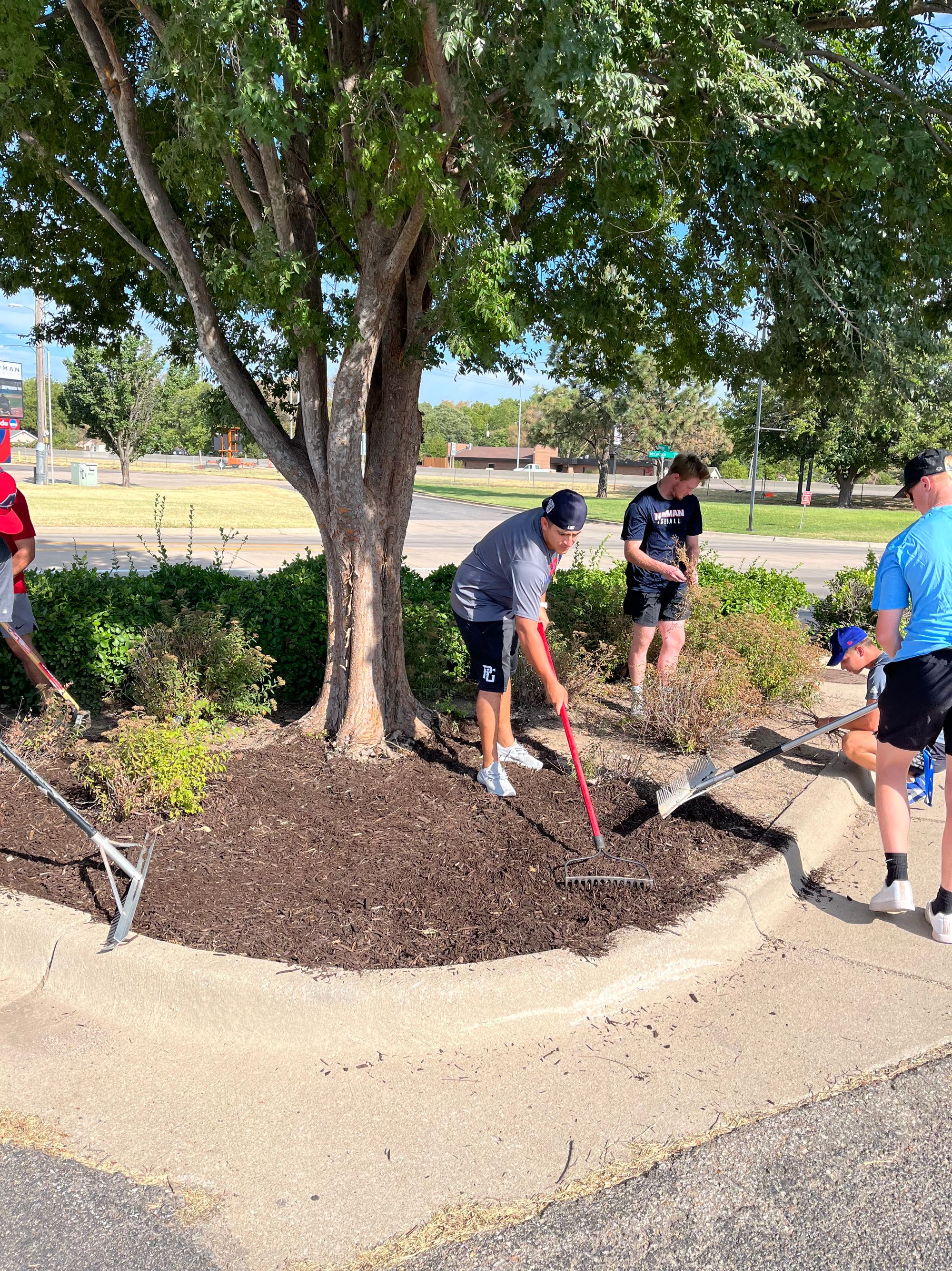 Baseball is giving back by making NU beautiful