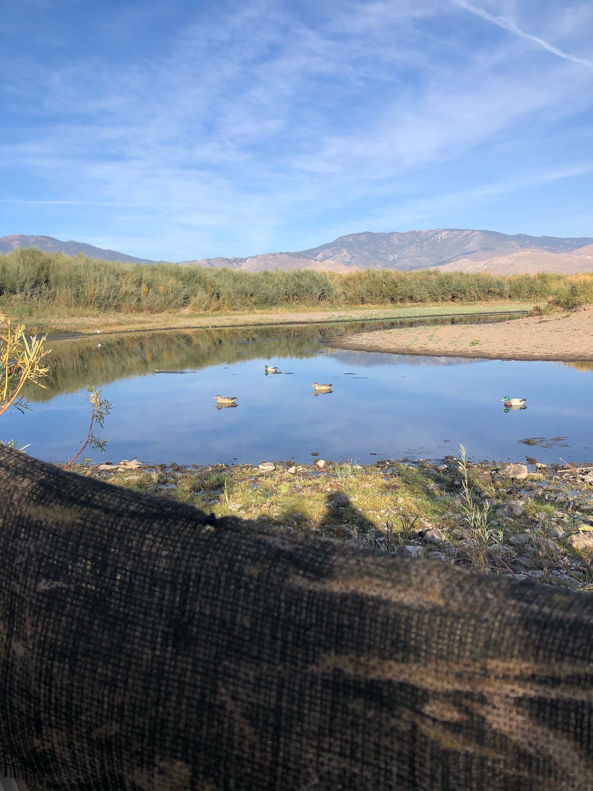 Students excited for the opening of duck hunting season