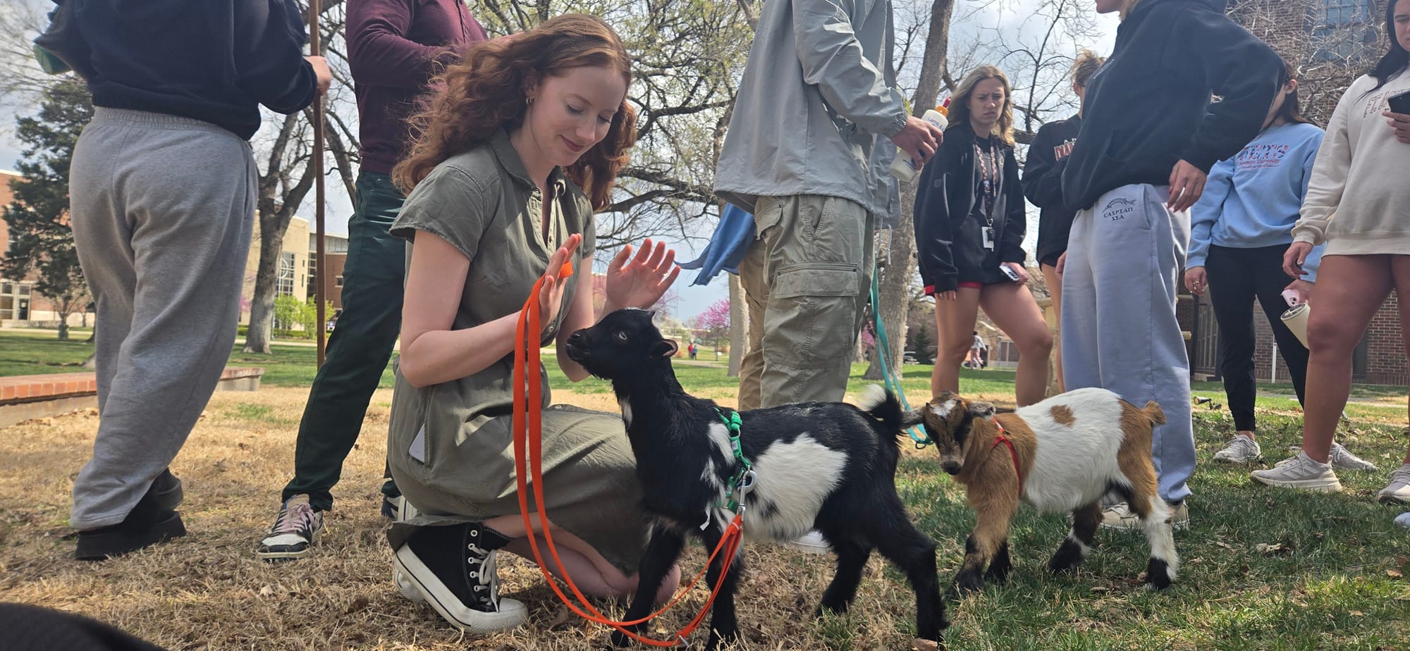 Goats provide Newman with stress relief